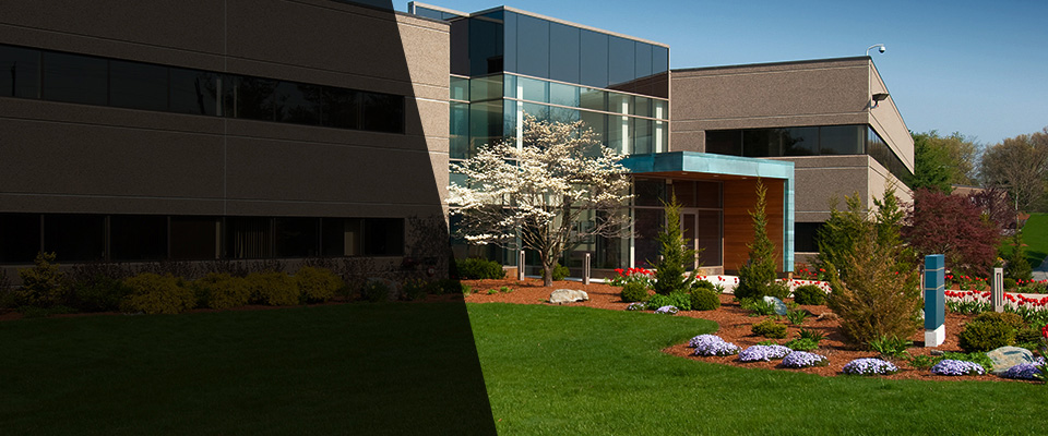Asbury Park Landscapers
