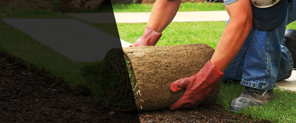 Asbury Park Landscapers